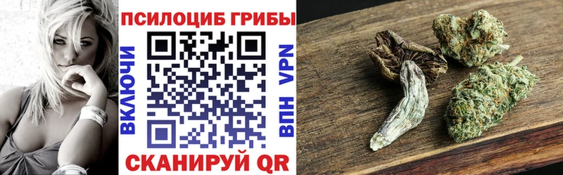 kraken зеркало  Чебаркуль  Галлюциногенные грибы GOLDEN TEACHER 